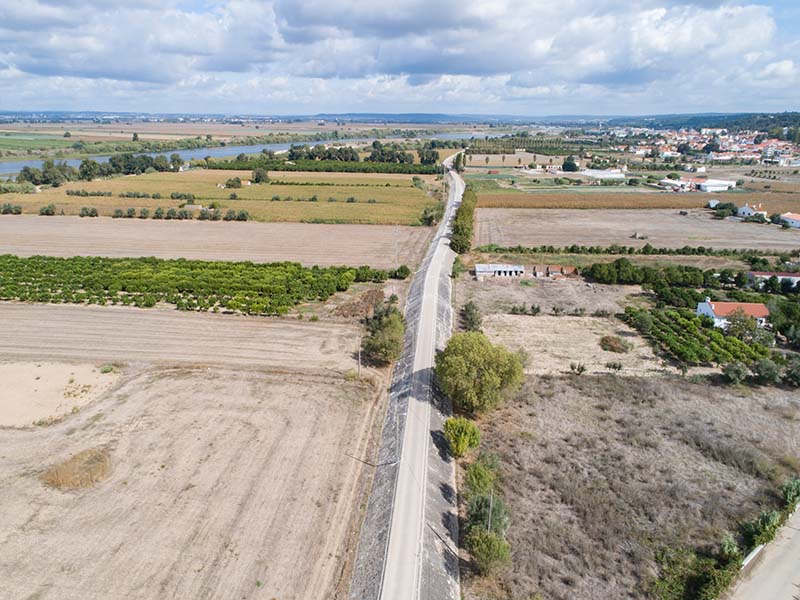 Reabilitação do Sistema de Diques no Rio Tejo no Concelho da Chamusca