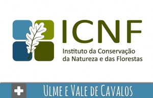 Alteração da delimitação territorial da ZIF de Ulme e Vale de Cavalos