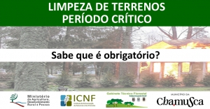 1 Julho a 15 Outubro | Período Crítico | Limpeza de Terrenos