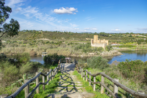 Miradouro Almourol