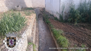 Limpeza Ribeira Gamelinha