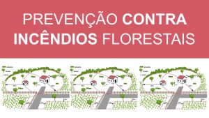 Prevenção Contra Incêndios . Limpeza de Terrenos