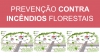 Prevenção Contra Incêndios . Limpeza de Terrenos