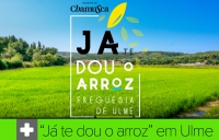 Já te dou o Arroz - Freguesia de Ulme