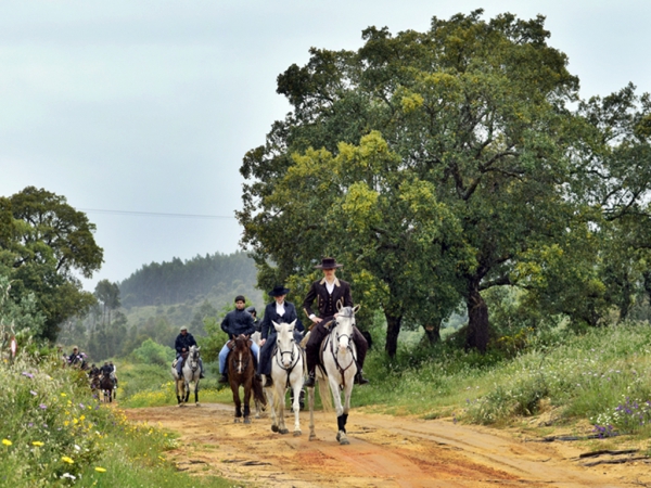 Passeio a Cavalo Ascensão 2016