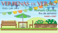 Verbenas de Verão no Pinheiro Grande