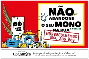 Chamusca disponibiliza serviço GRATUITO de recolha de Monos e Verdes
