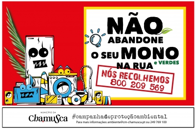 Chamusca disponibiliza serviço GRATUITO de recolha de Monos e Verdes