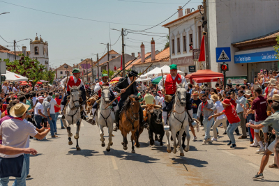 Ascensão é na Chamusca - Entrada de toiros 2023