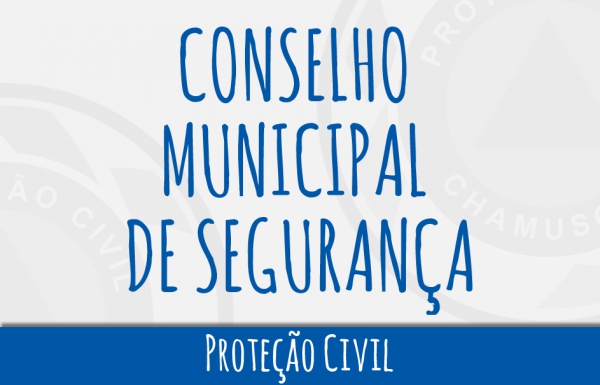 CONSELHO MUNICIPAL DE SEGURANÇA