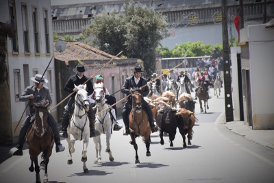 Entrada de Toiros 2015