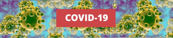 Plano de Contingência do Municipio da Chamusca - COVID-19 - Coronavírus