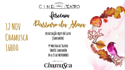 Pássaro da Alma no Cineteatro . 12NOV