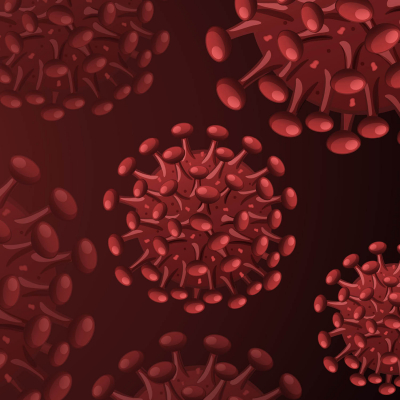 Município reforça apoio às IPSS no combate à pandemia