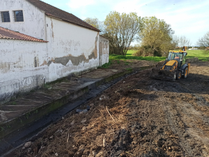Limpeza de Ribeiras no concelho da Chamusca