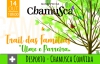 Chamusca ComVida - Trail das Famílias