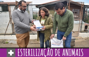 Município impulsiona esterilização de animais de companhia