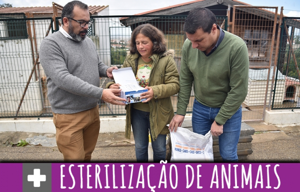 Município impulsiona esterilização de animais de companhia