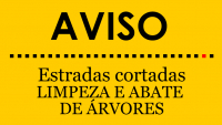 Estradas cortadas para limpeza e abate de árvores