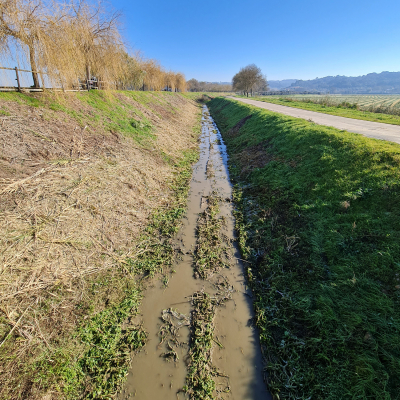 Limpeza de Diques e Linhas de Água