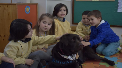 Sessões assistidas por animais enriquecem ambiente educativo na Chamusca