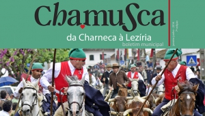 Boletim Municipal n.º 7