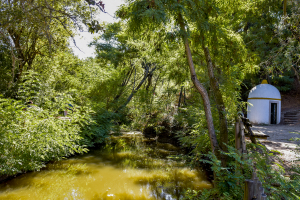 Charneca e Campina . Carregueira