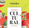 Agenda Cultural DEZ 2021