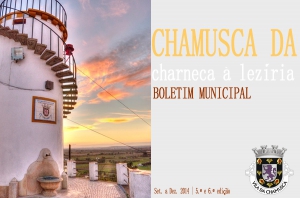 Boletim Municipal nº 5 e 6