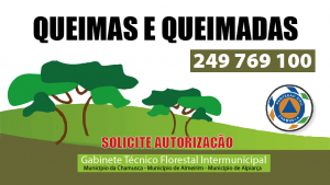Queima e Queimadas - Solicite Autorização