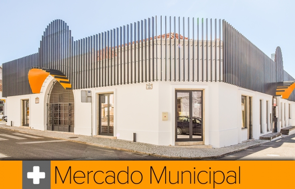 Projeto de Regulamento do Mercado Municipal da Chamusca - Consulta Pública