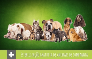 ESTERILIZAÇÃO GRATUITA DE ANIMAIS DE COMPANHIA