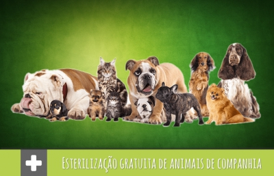 ESTERILIZAÇÃO GRATUITA DE ANIMAIS DE COMPANHIA