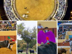 Município aprova moção em defesa da reabertura dos espetáculos tauromáquicos