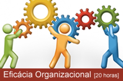 Curso Breve . Eficácia Organizacional