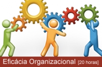 Curso Breve . Eficácia Organizacional