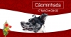 CãoMinhada | 17 Maio | 9h30 | Ascensão'15