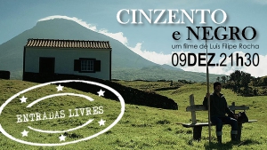 Cinzento e Negro