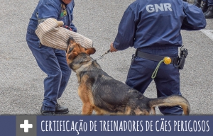 CERTIFICAÇÂO DE TREINADORES DE CÃES PERIGOSOS OU POTENCIALMENTE PERIGOSOS