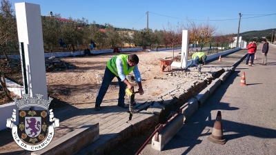 Arranjo do Passeio - Semideiro