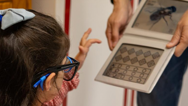 Pré-escolar - Rastreios de Acuidade Visual