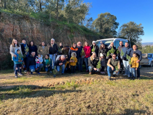 Pinheiros de Natal foram devolvidos à floresta