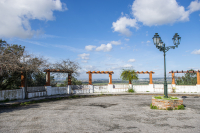 Charneca e Campina . Pinheiro Grande