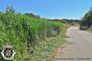 Operação de Limpeza de Bermas Concelho