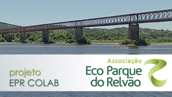 Projeto EPR COLAB