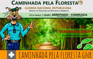 GNR organiza caminhada pela floresta no Arripiado