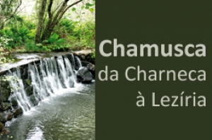 Boletim Municipal nº 4