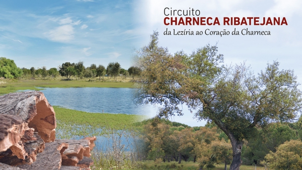 Circuito da Charneca Ribatejana