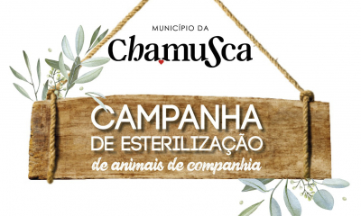 Campanha de esterilização de animais de companhia