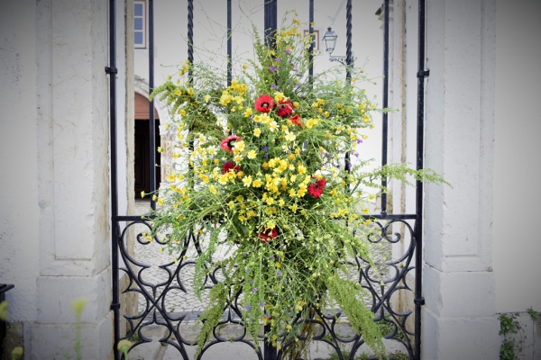 Antes da entrada de Toiros Ascensão 2016